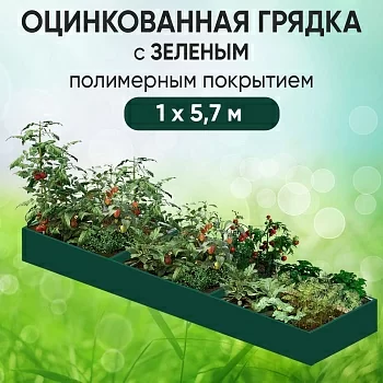 Грядка зеленая (1 х 5,7)